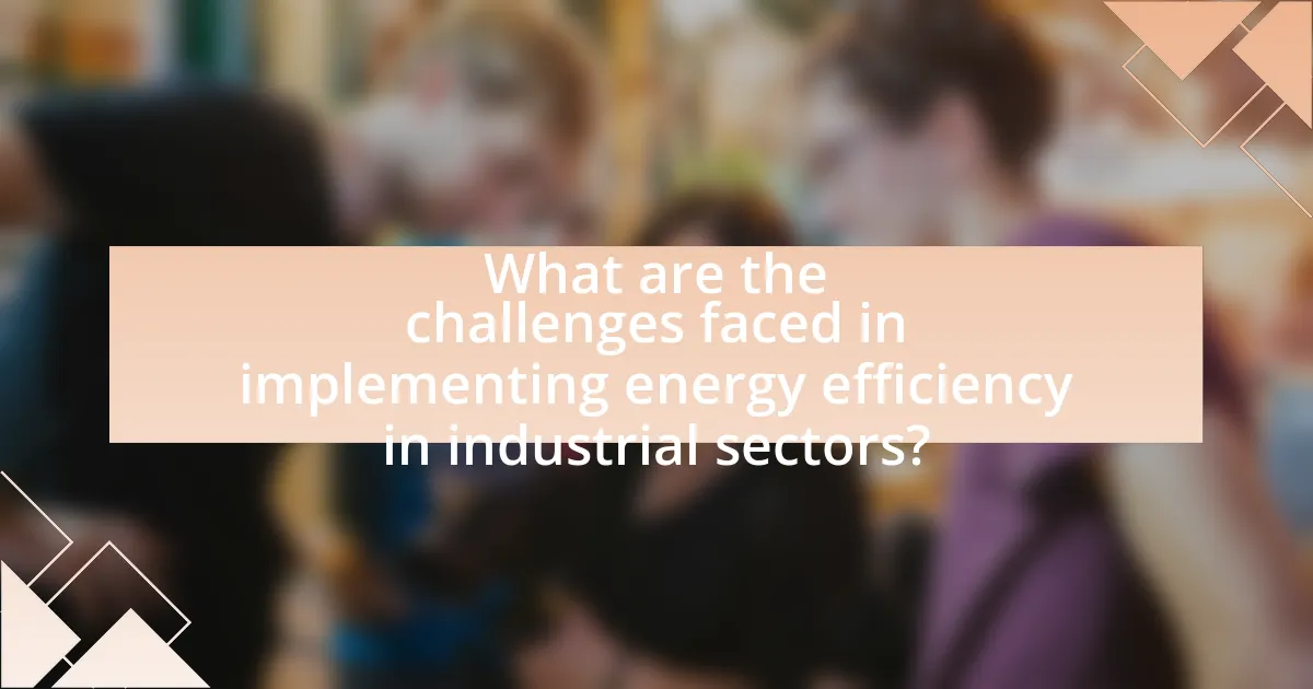 What are the challenges faced in implementing energy efficiency in industrial sectors?