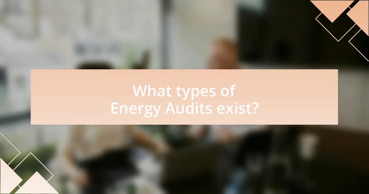 What types of Energy Audits exist?